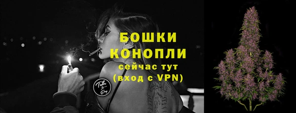 ПСИЛОЦИБИНОВЫЕ ГРИБЫ Кулебаки