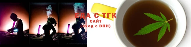 индика Киреевск