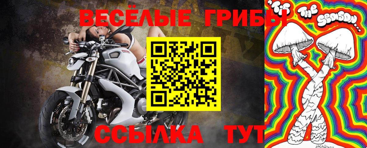Урай  Галлюциногенные грибы Psilocybine cubensis  Вход с VPN 