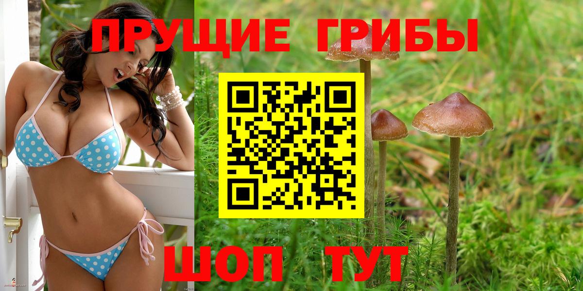Псилоцибиновые грибы мицелий Урай