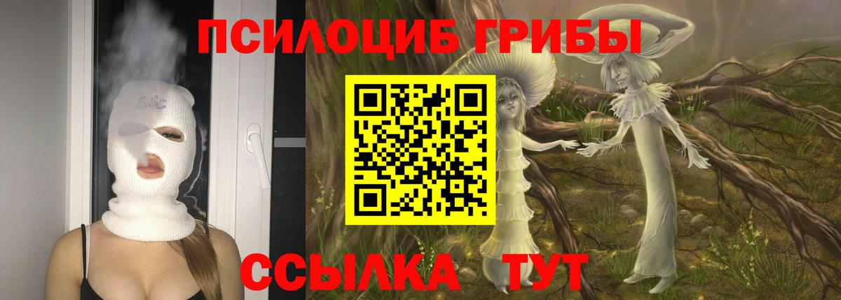 Псилоцибиновые грибы Psilocybine cubensis  где продают   Урай 