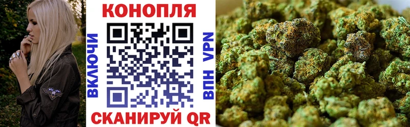 Каннабис сатива  Урай 